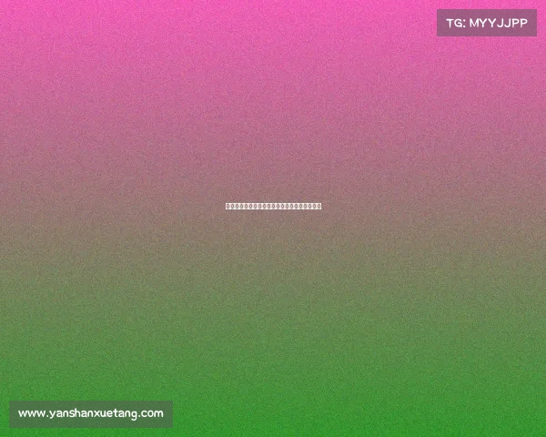 足球球员租借合同管理模式创新与实施路径研究